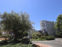 Different La Antigua