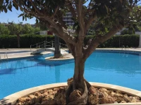 Saval Apartaments Royal