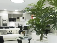 Apartamento Lagun Concha Beach