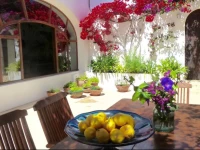 Hotel CaВґs Catala - Adult Only