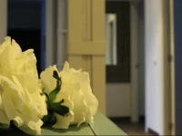 Los Balcones del Arte