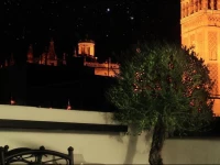 Hotel Palacio AlcГЎzar