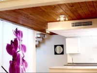 Sevitur Puerto de Indias