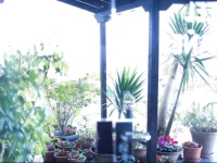 Hotel MontaГ±Г©s