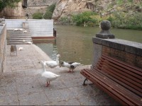 Hotel el Diamantista