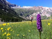 Albergue Monte Perdido