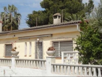 Anforas Mar Sorpresa