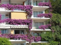 Apartamentos Cascada