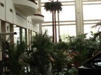 Paradise Resort Xian 4*