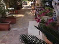 Il Giardino Dei Limoni