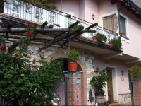 Il ritrovo delle Volpi