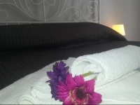 MirГІ Luxury Apartment