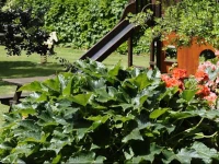 Agriturismo Barbagia