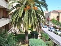 Babylon Apartments Sonya