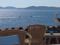 Casa Vacanze La Posada Sul Golfo