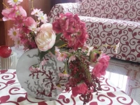 Alassio Mare e non Solo