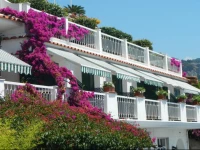 Hotel Bellevue Suite