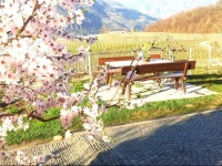 Hotel Pension Weingut