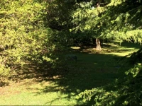 Centro di SpiritualitГ  Maria Candida