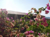 Club Esse Cala Bitta