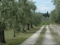Agriturismo Tenuta la Pergola