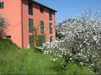 Agriturismo Casalino