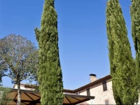 Country House Torre Burchio