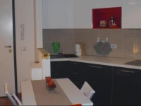 Francy House Bologna