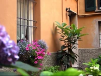 Il Cortile del Nespolo