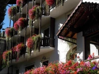 Albergo Adele