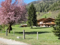 Chalet Alpino - Maso del Brenta