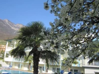 Hotel Thalhof am See 4*