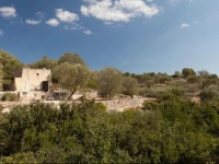 Lamia delle Libellule