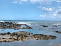 Apartment Mazzaforno