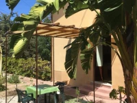 Monolocale Strelizia