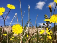 I Giardini di Pomona