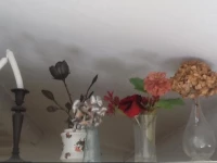 Appartamento Matteotti 8