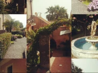 IL Ciliegio Dell Etna