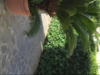 Casa Marzio Apartments