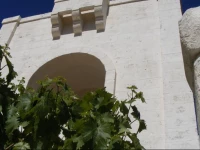 Masseria Pelosella B&B