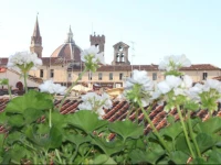 Appartamento Nel cuore di Firenze