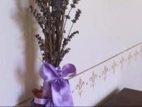 Florence Guest house