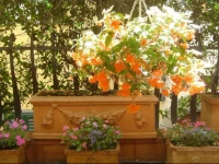 Le Stanze Di Santa Croce