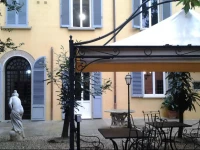 Little Garden Donatello