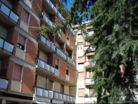 Sansovino Bed and Car