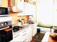 The house of the painter in Florence