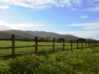 Tenuta Agricola dellUccellina