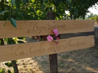 La Corte Della Barchessa