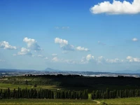 Merumalia Wine Resort