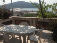 Le Ortensie di Teresa